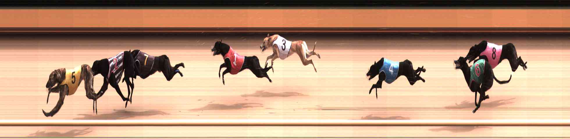 Photo finish for Healesville Race 7