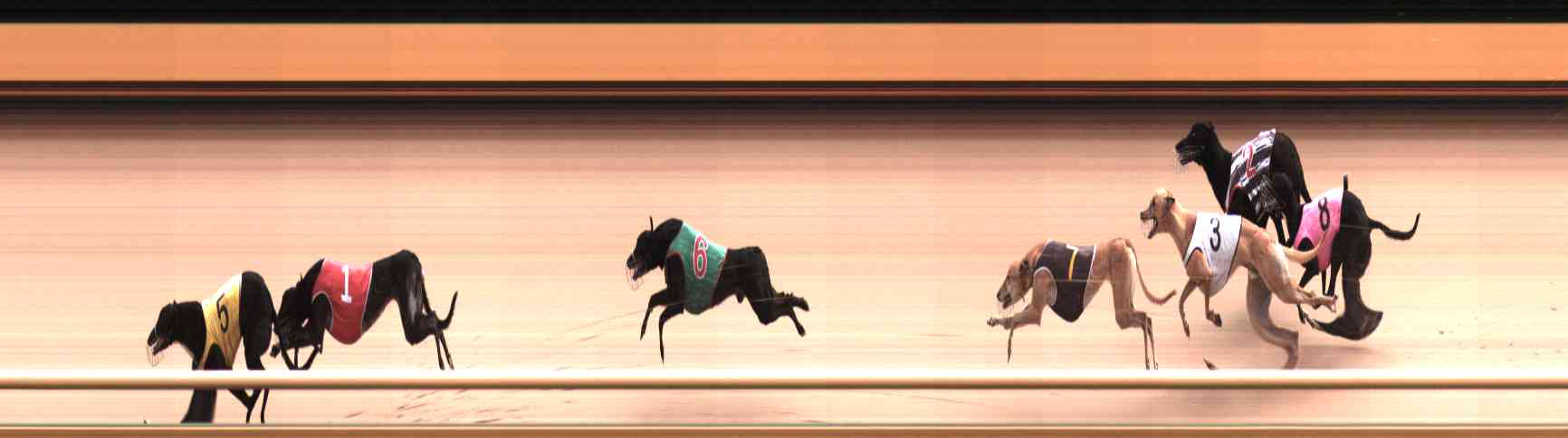 Photo finish for Healesville Race 9