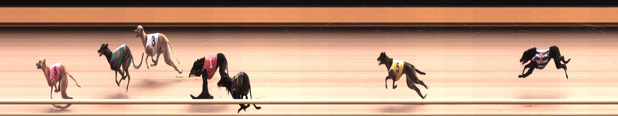 Photo finish for Healesville Race 10