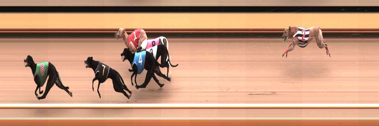 Photo finish for Healesville Race 3