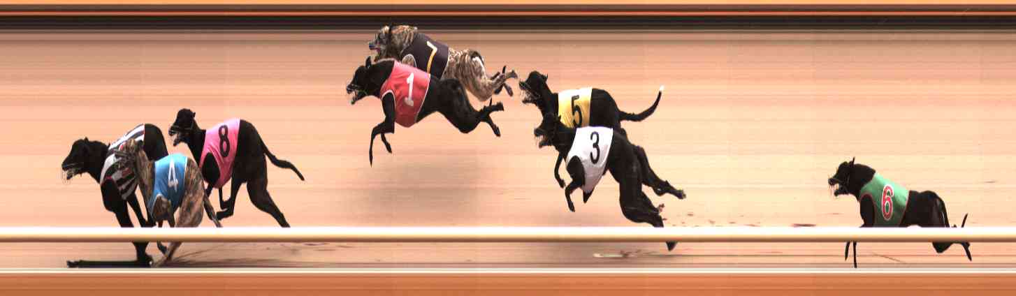 Photo finish for Healesville Race 4