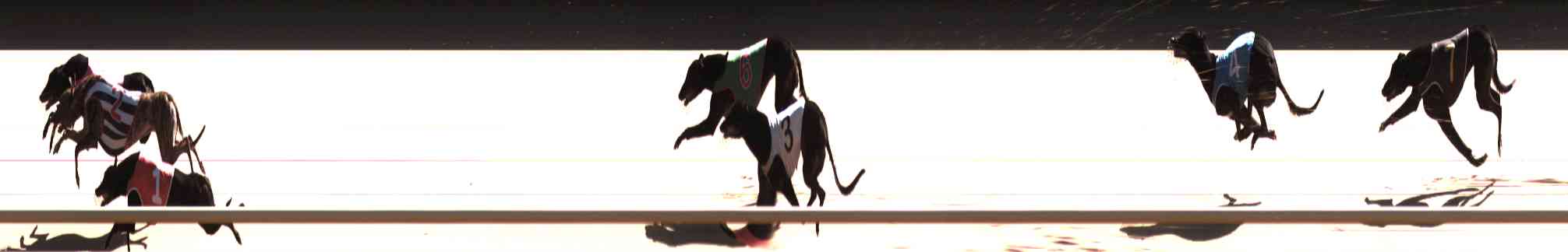 Photo finish for Healesville Race 10