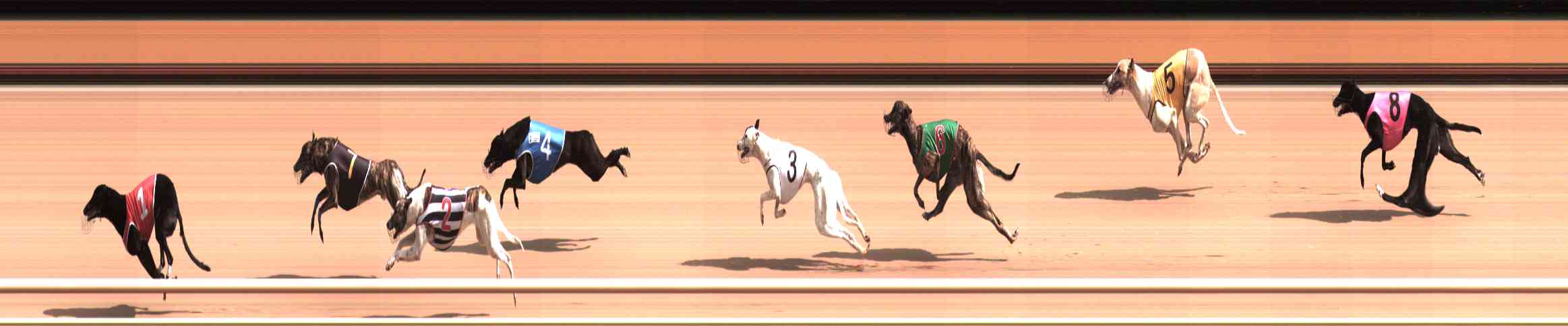 Photo finish for Healesville Race 1