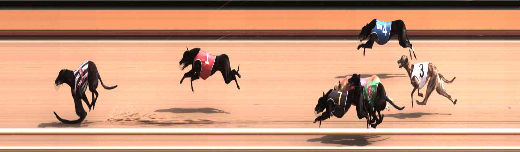 Photo finish for Healesville Race 2