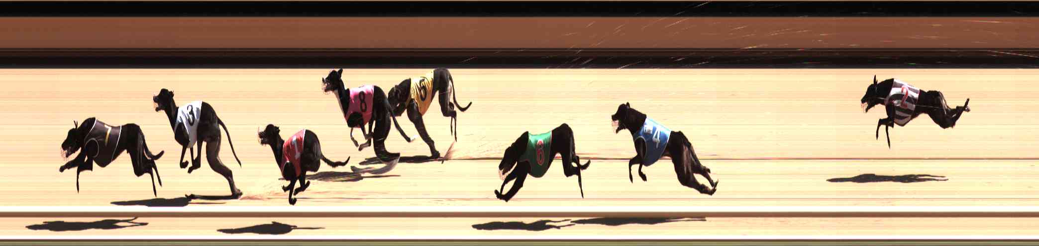 Photo finish for Healesville Race 4