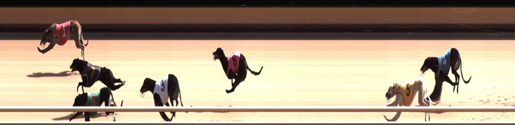 Photo finish for Healesville Race 6
