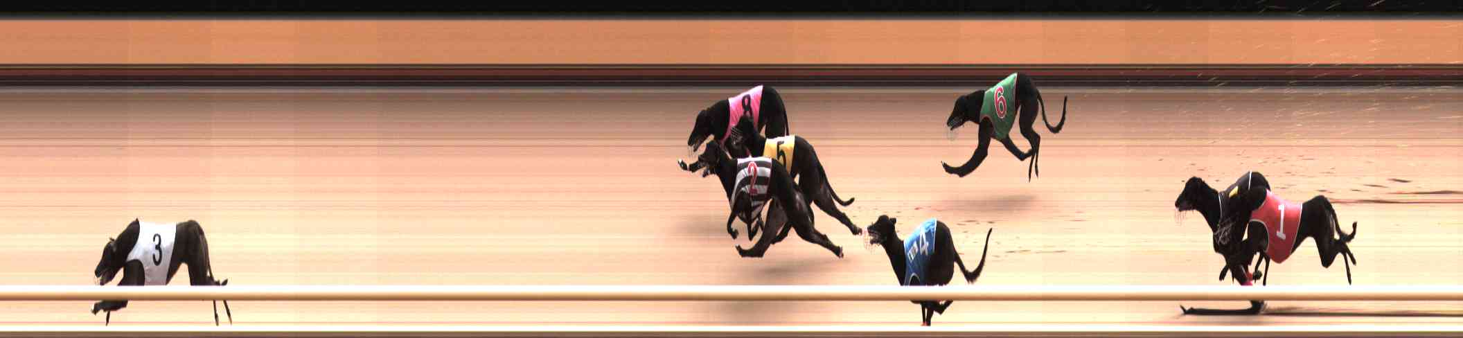 Photo finish for Healesville Race 10