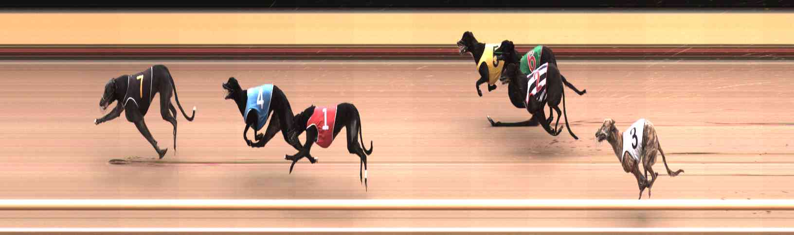 Photo finish for Healesville Race 11