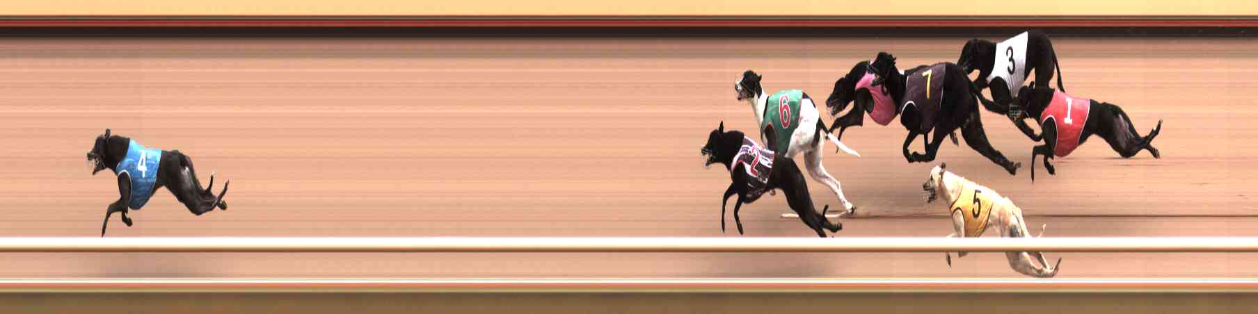Photo finish for Healesville Race 4