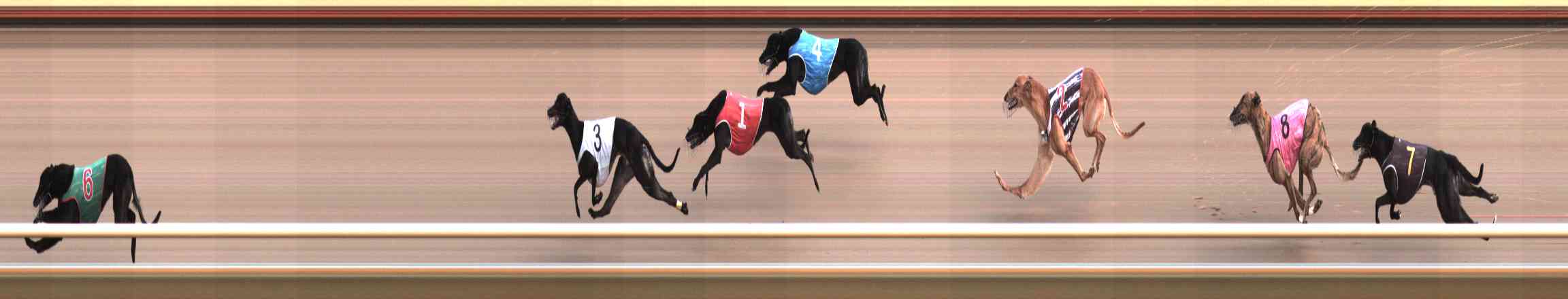 Photo finish for Healesville Race 7