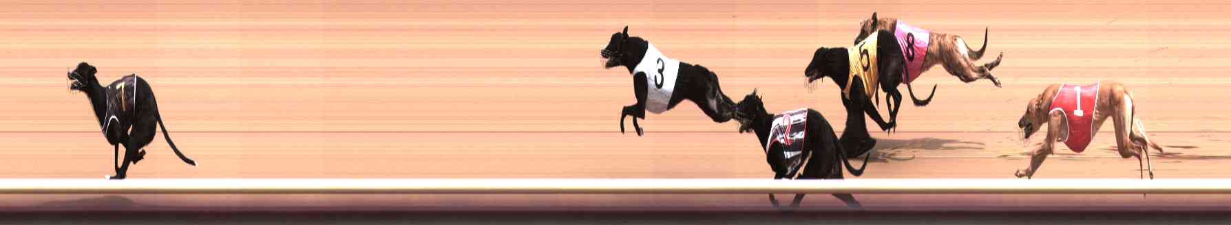 Photo finish for Healesville Race 4
