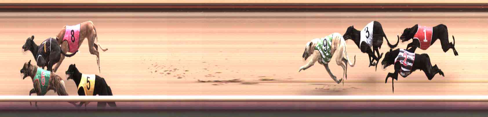 Photo finish for Healesville Race 6