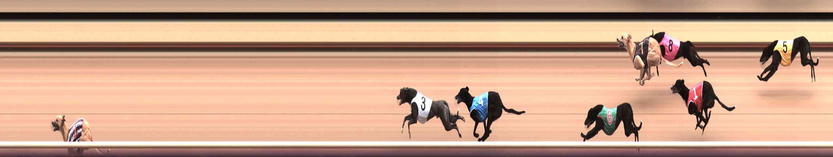 Photo finish for Healesville Race 7
