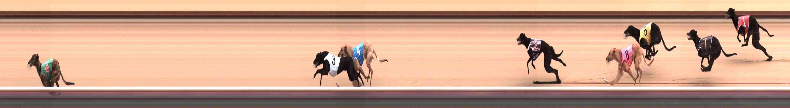 Photo finish for Healesville Race 9