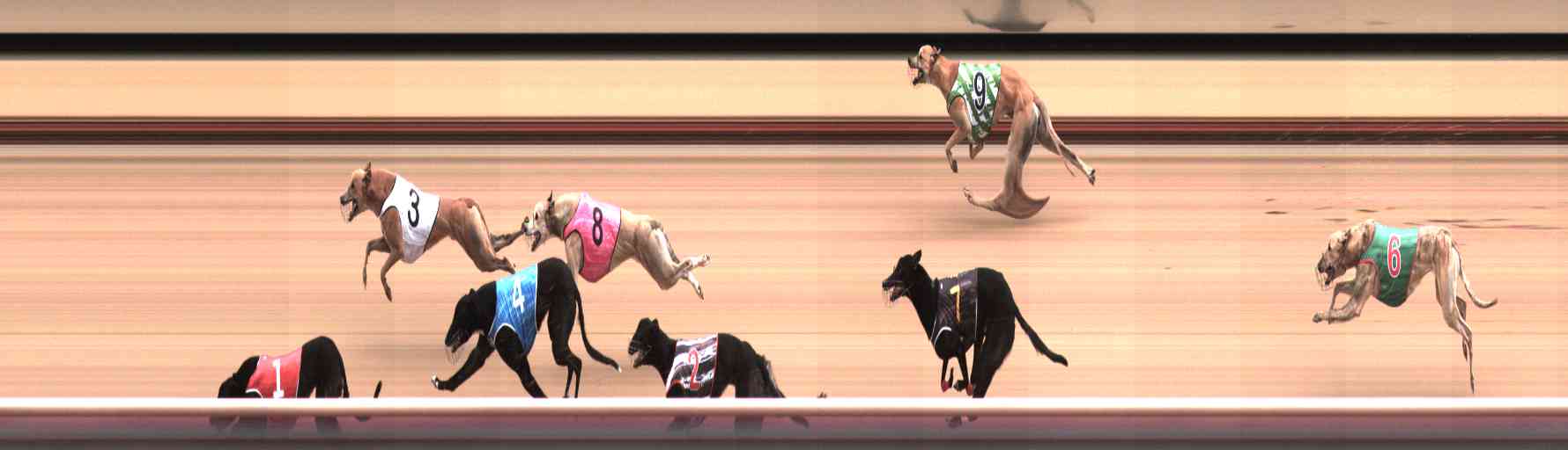 Photo finish for Healesville Race 11