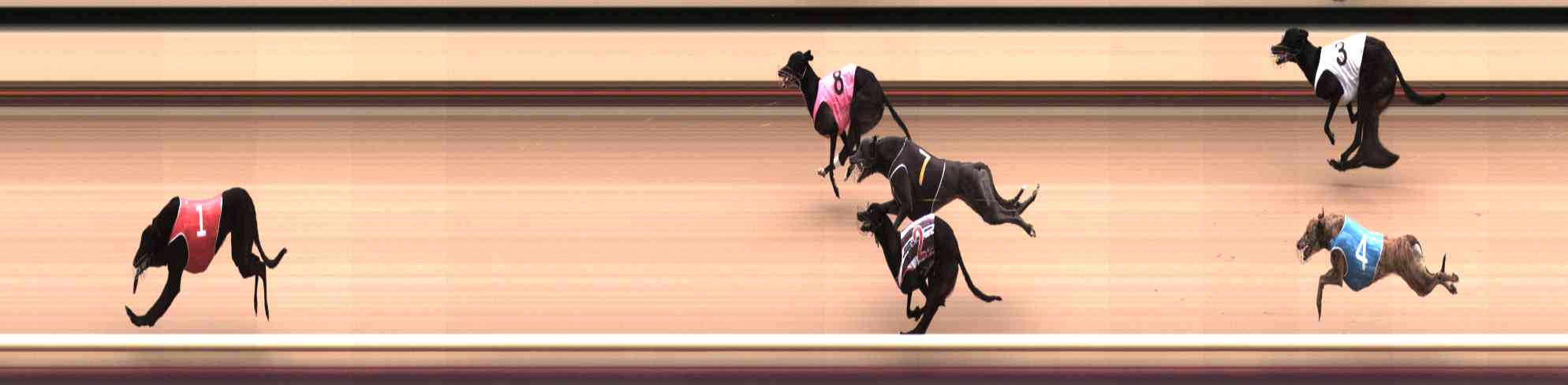 Photo finish for Healesville Race 2