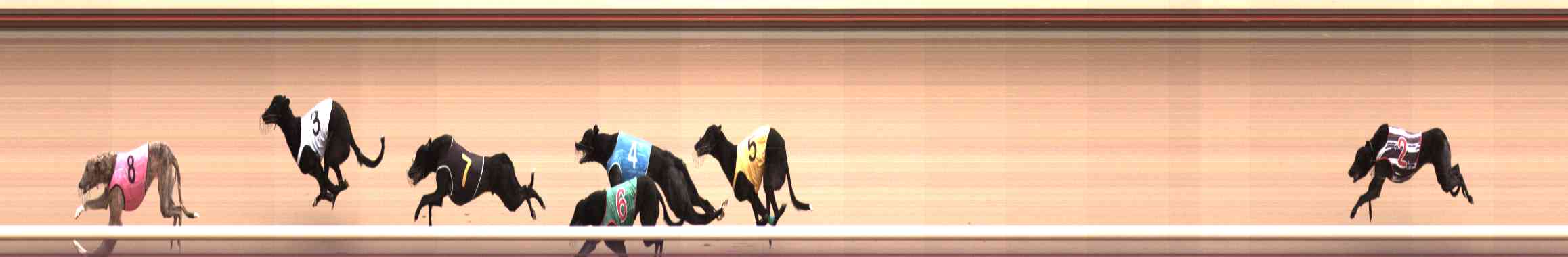 Photo finish for Healesville Race 10