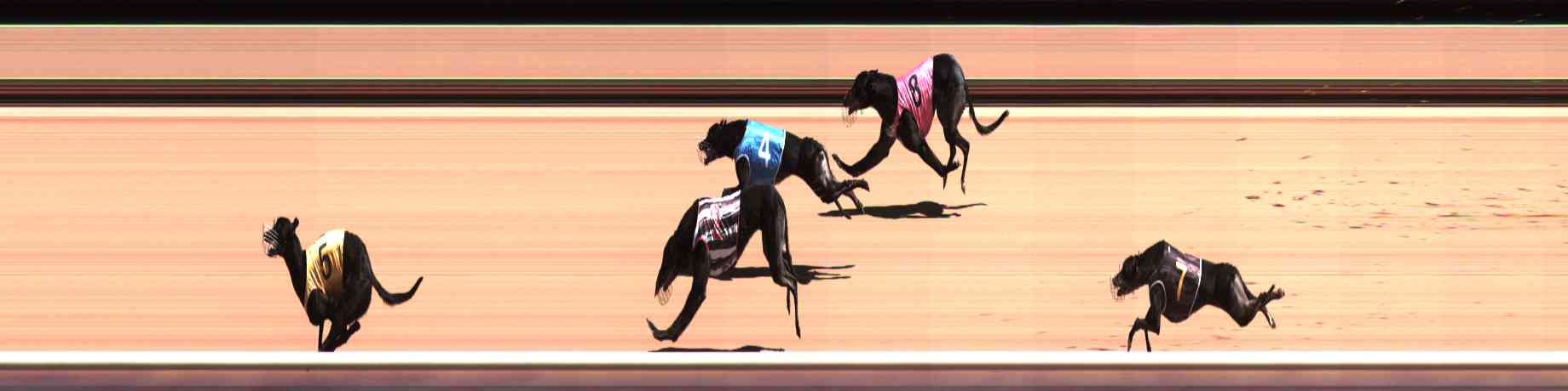 Photo finish for Healesville Race 4