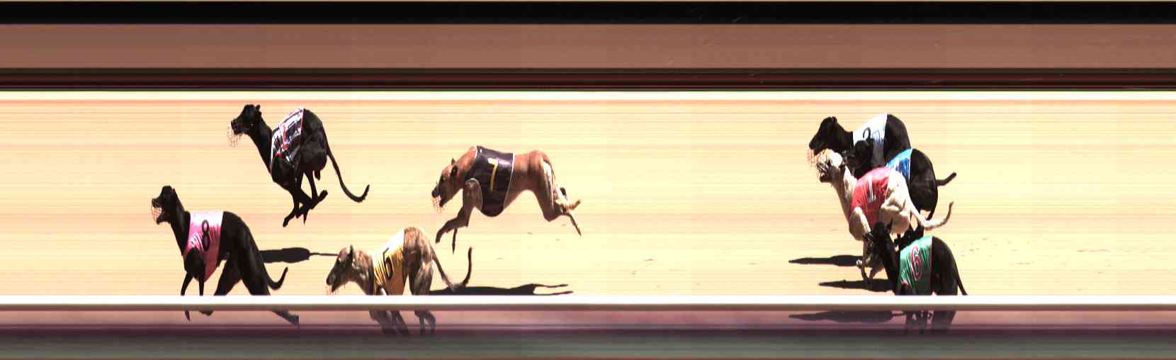 Photo finish for Healesville Race 6