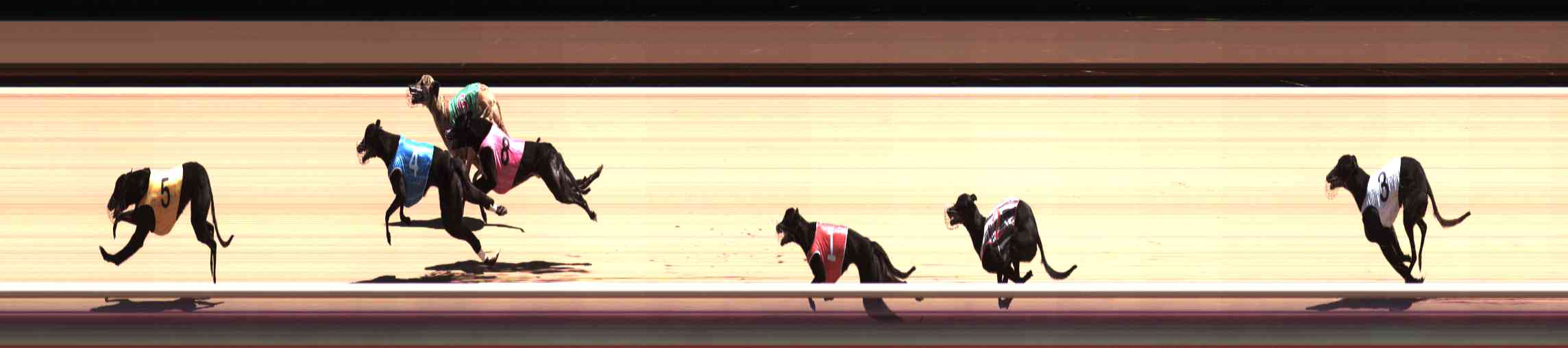 Photo finish for Healesville Race 7