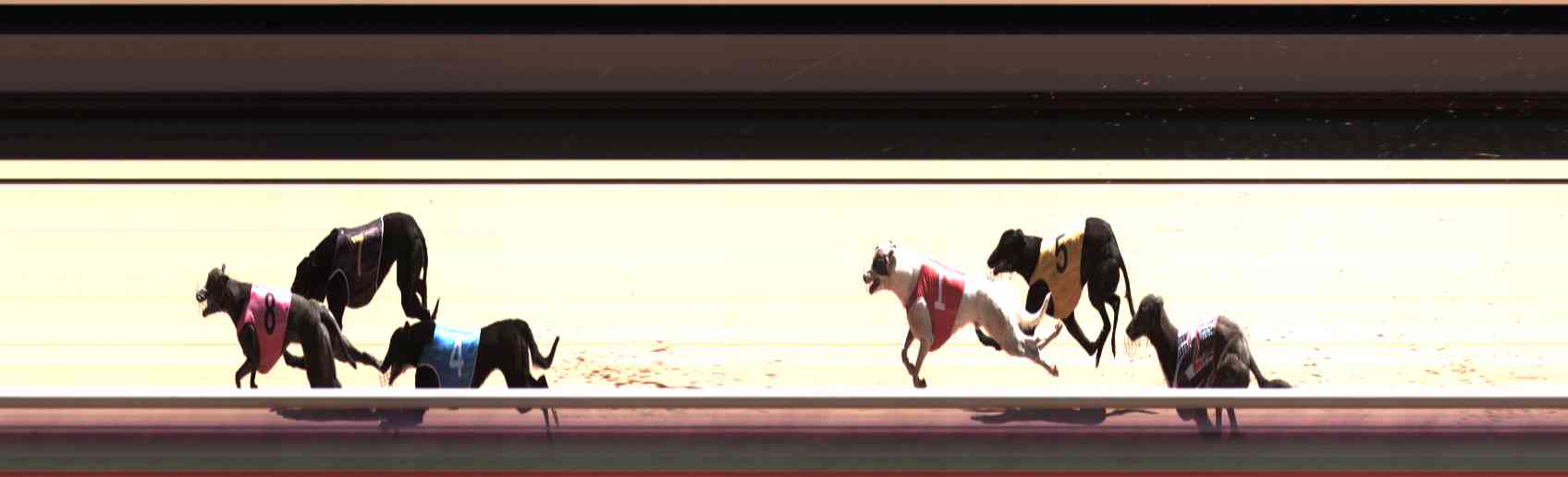 Photo finish for Healesville Race 10