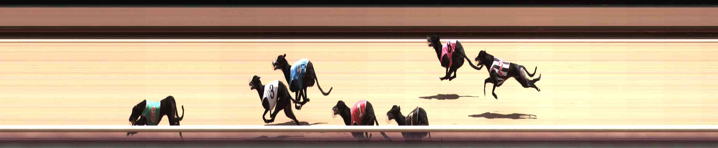 Photo finish for Healesville Race 7