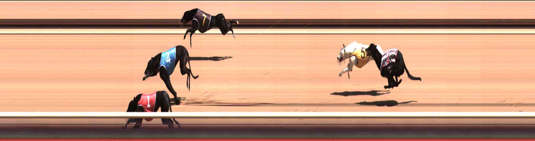 Photo finish for Healesville Race 4