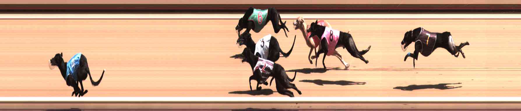 Photo finish for Healesville Race 5