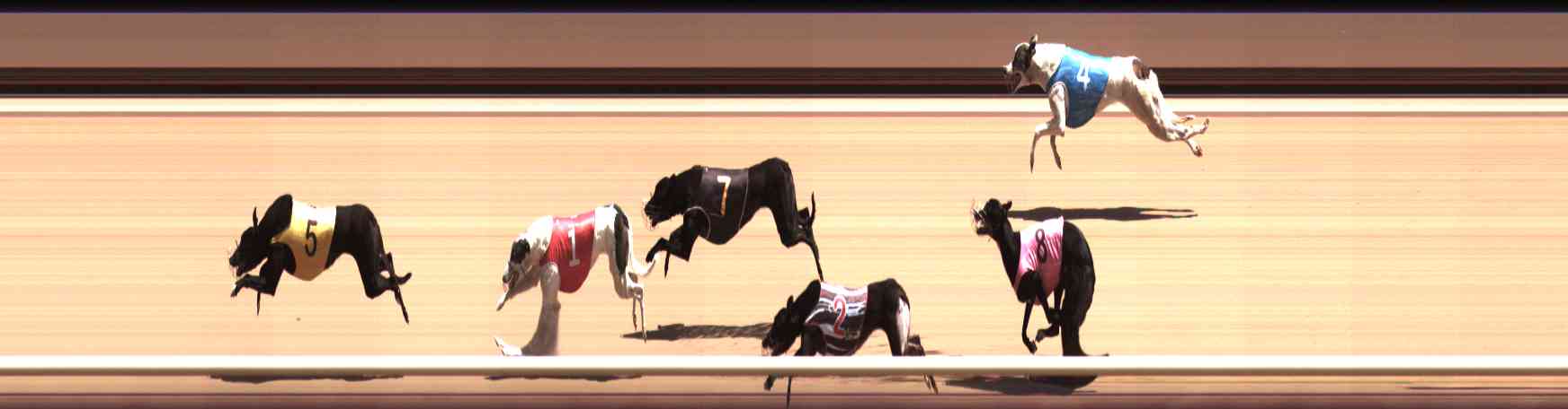 Photo finish for Healesville Race 6