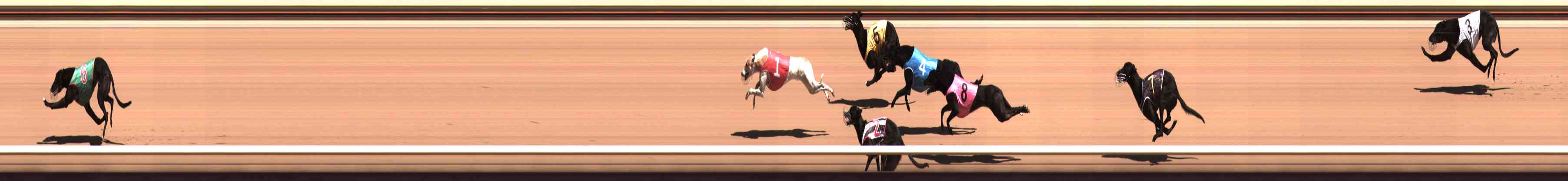 Photo finish for Healesville Race 2