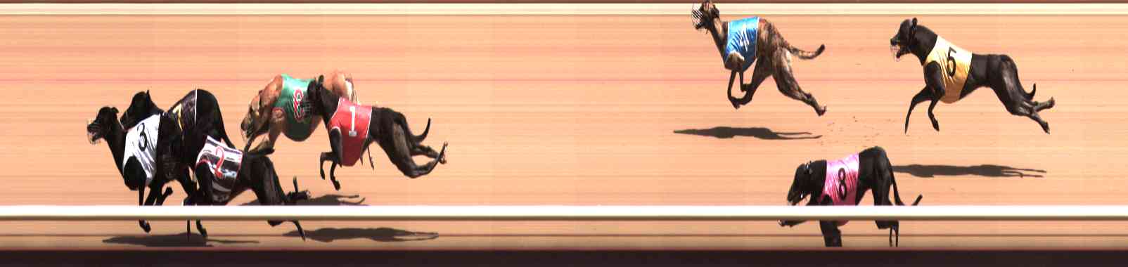 Photo finish for Healesville Race 4