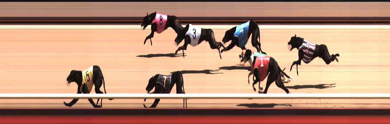 Photo finish for Healesville Race 5