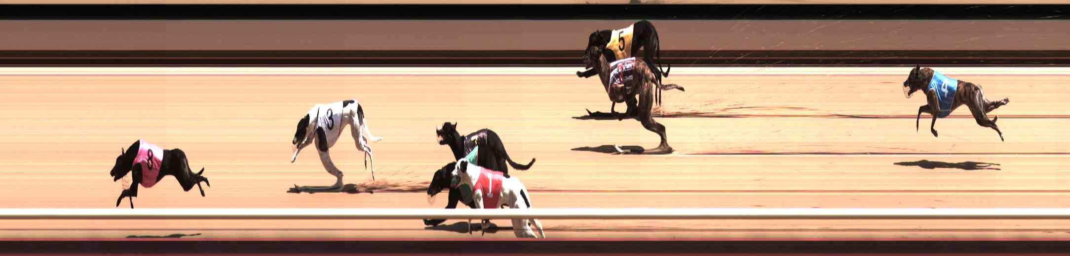Photo finish for Healesville Race 6