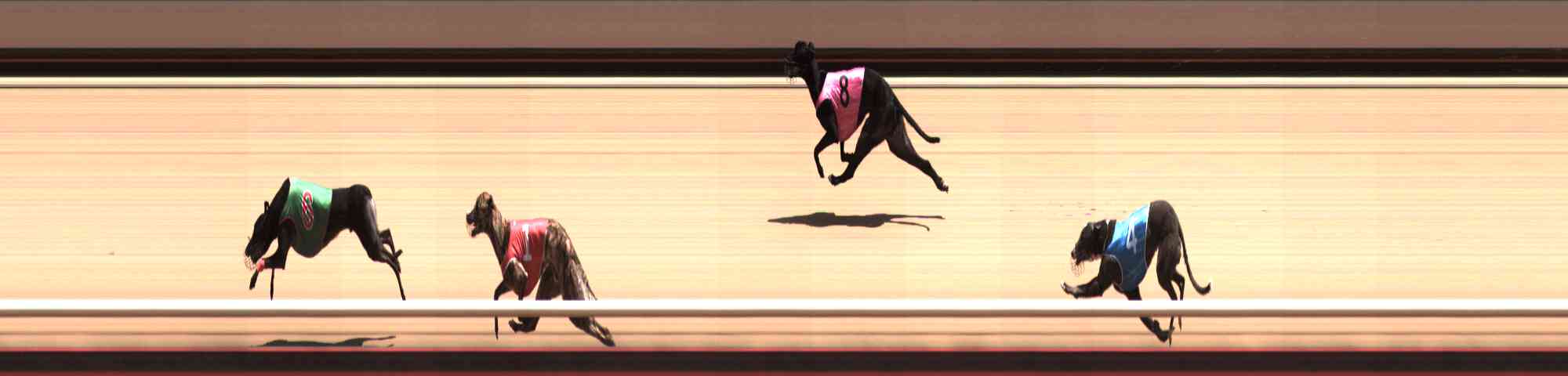 Photo finish for Healesville Race 7