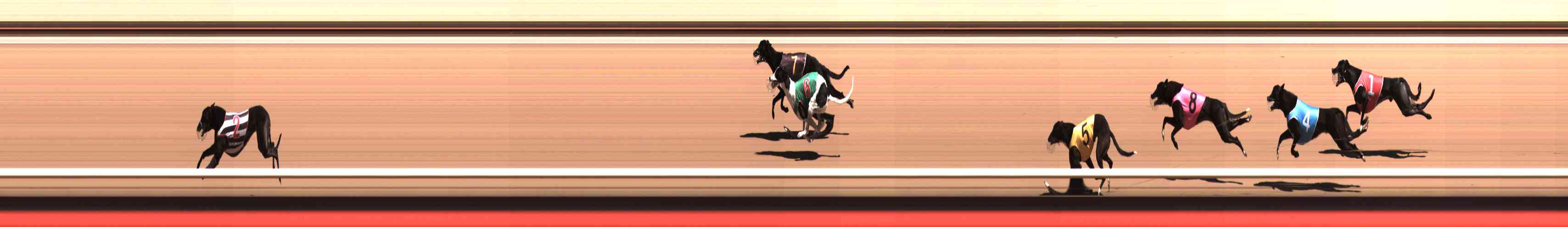 Photo finish for Healesville Race 2