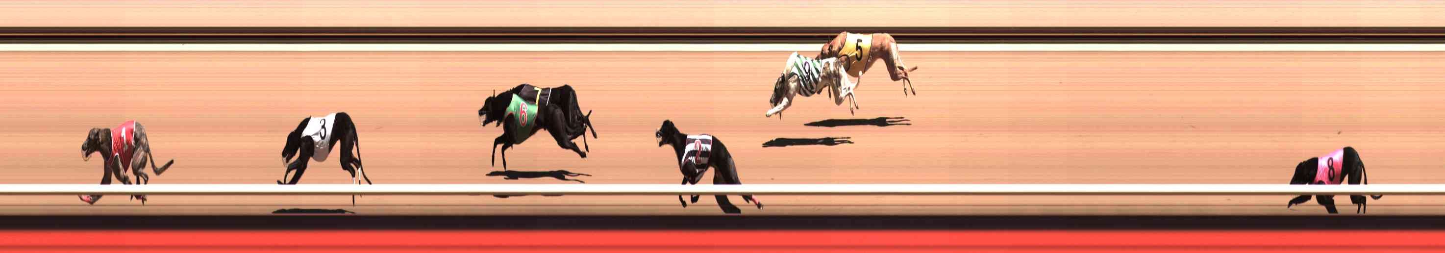 Photo finish for Healesville Race 3