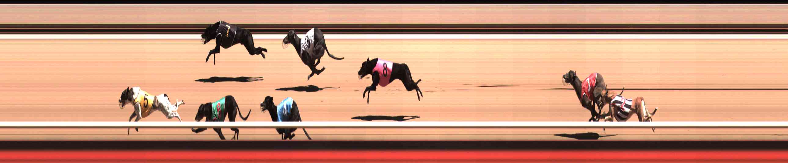 Photo finish for Healesville Race 4