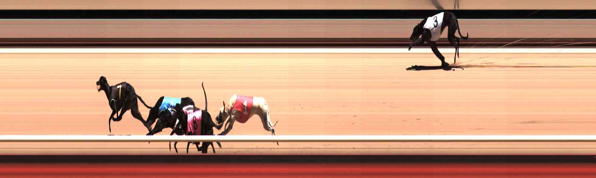 Photo finish for Healesville Race 5