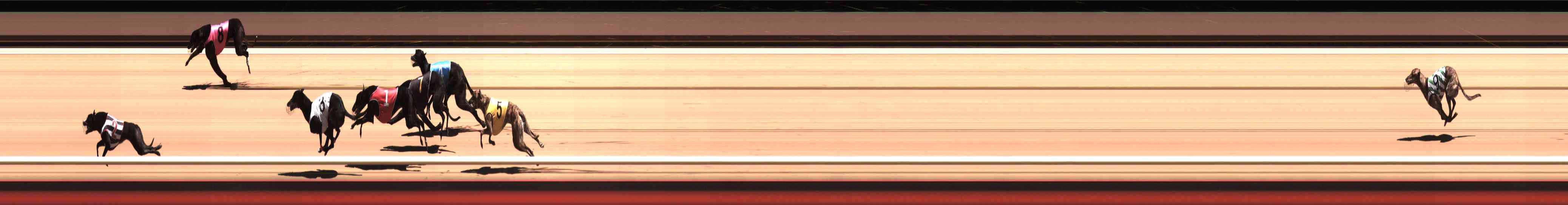 Photo finish for Healesville Race 6