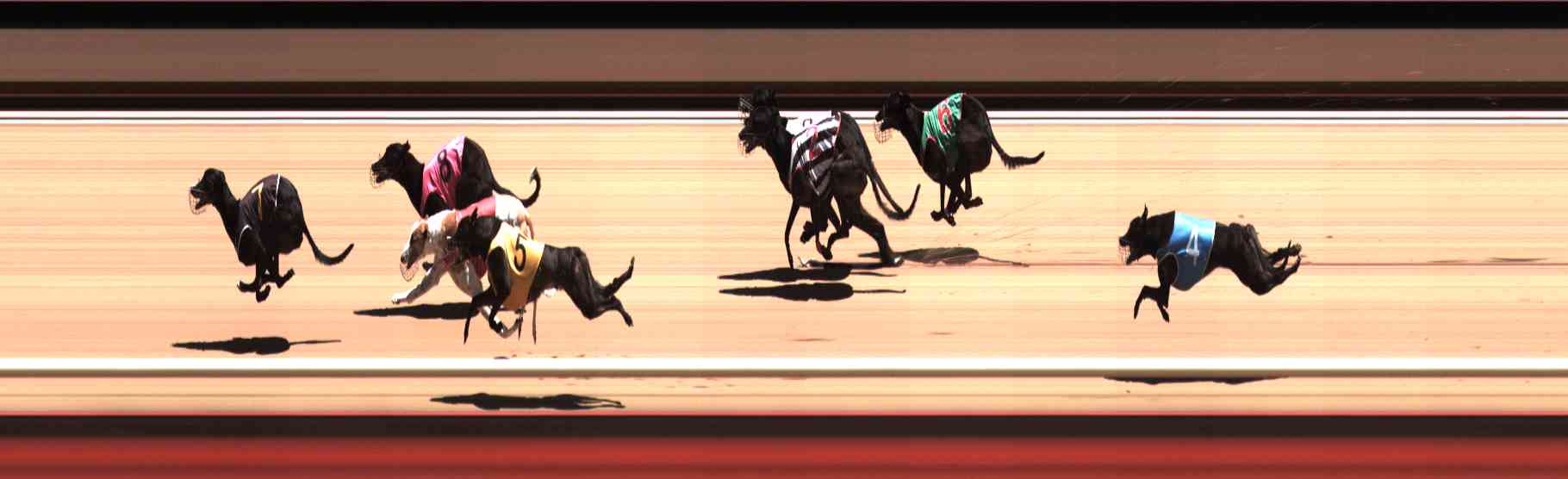 Photo finish for Healesville Race 7