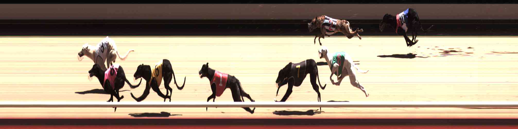 Photo finish for Healesville Race 9