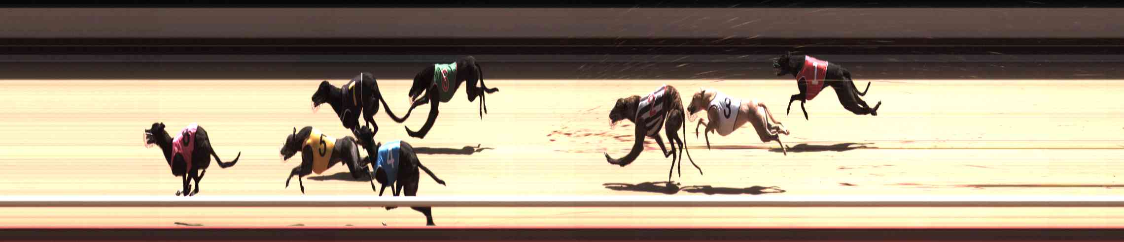 Photo finish for Healesville Race 10