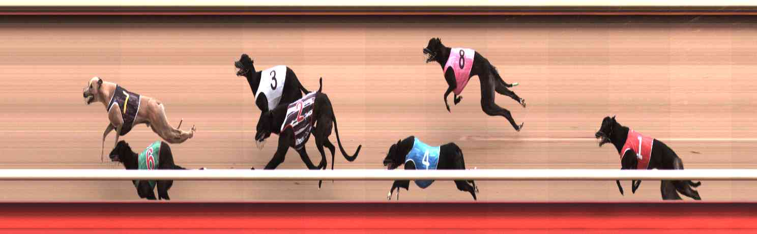 Photo finish for Healesville Race 2