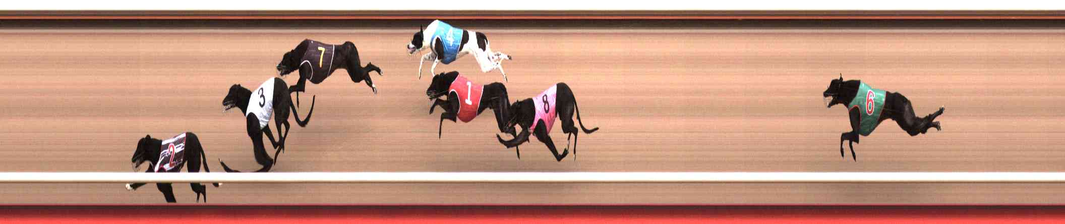 Photo finish for Healesville Race 3