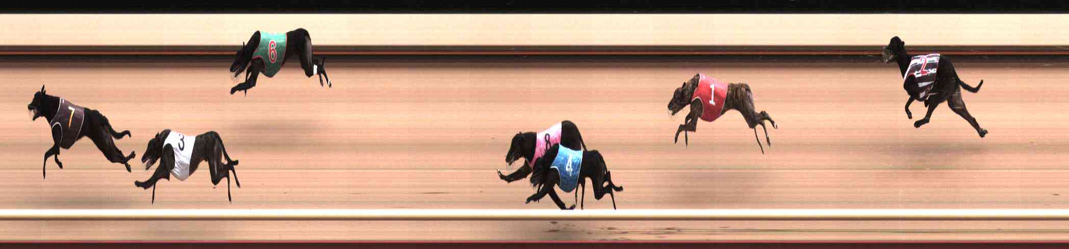 Photo finish for Healesville Race 5