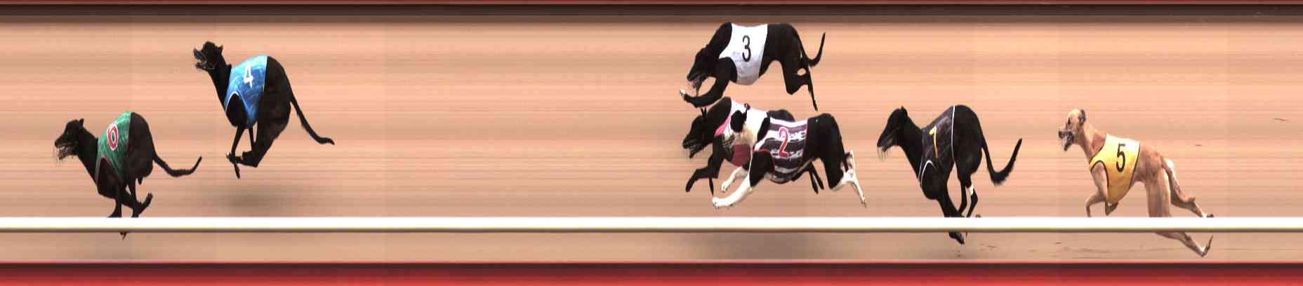 Photo finish for Healesville Race 6