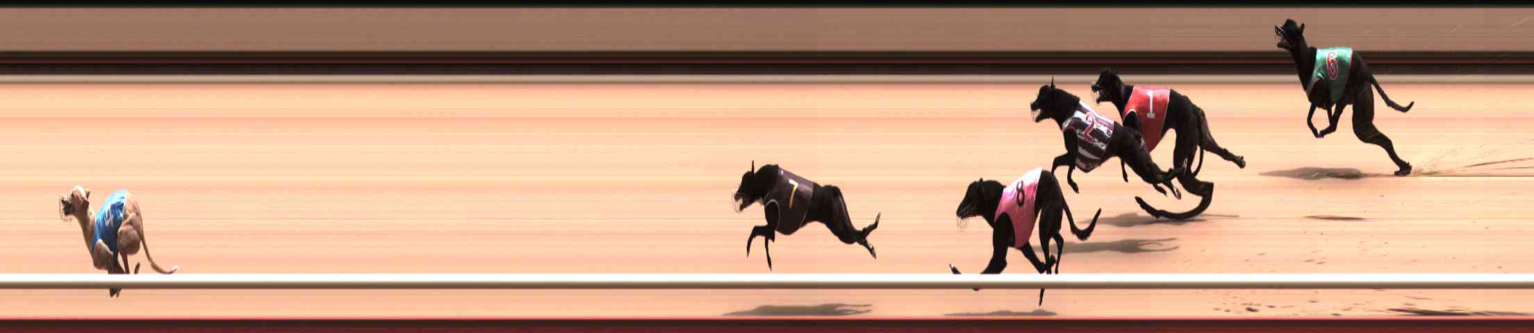 Photo finish for Healesville Race 10