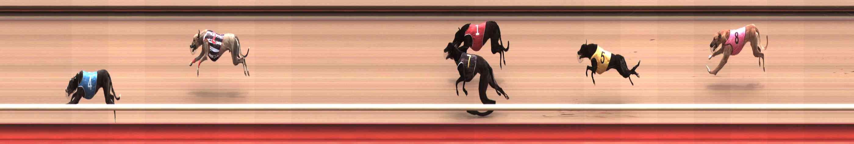 Photo finish for Healesville Race 11
