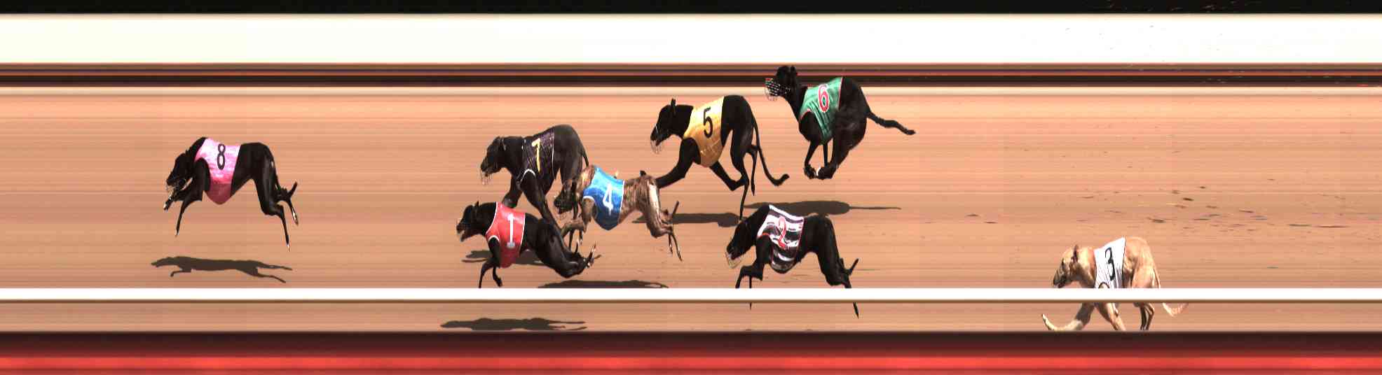 Photo finish for Healesville Race 2