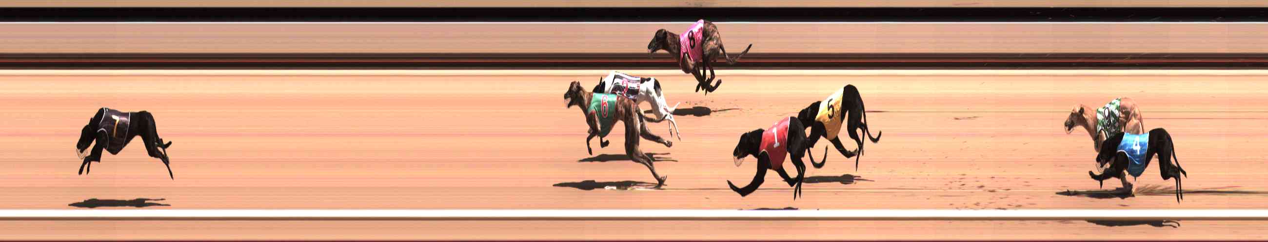 Photo finish for Healesville Race 6